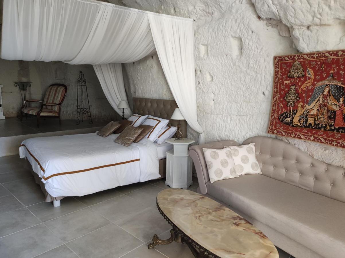 ブレ Le Manoir Des Roches Bed & Breakfast エクステリア 写真